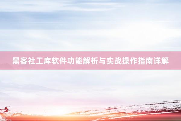 黑客社工库软件功能解析与实战操作指南详解